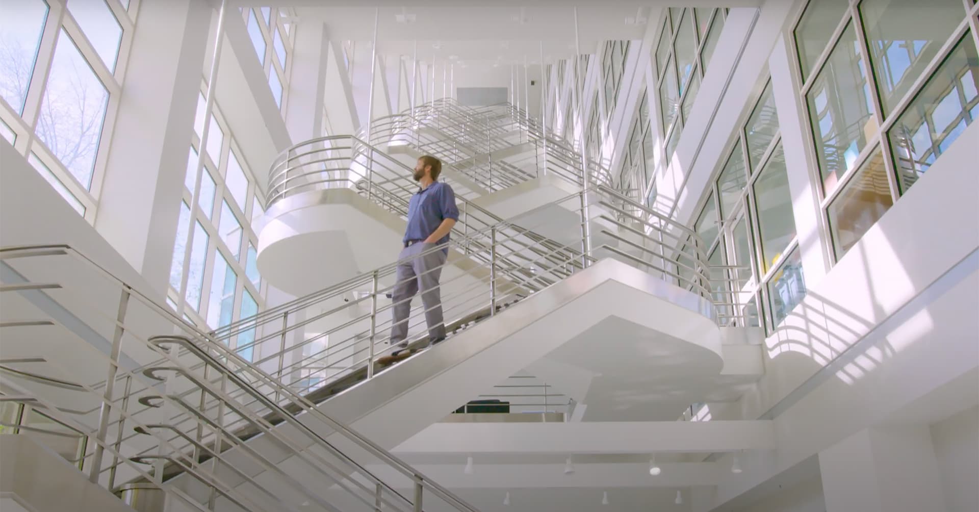 Evolution of a Biological Battlefront