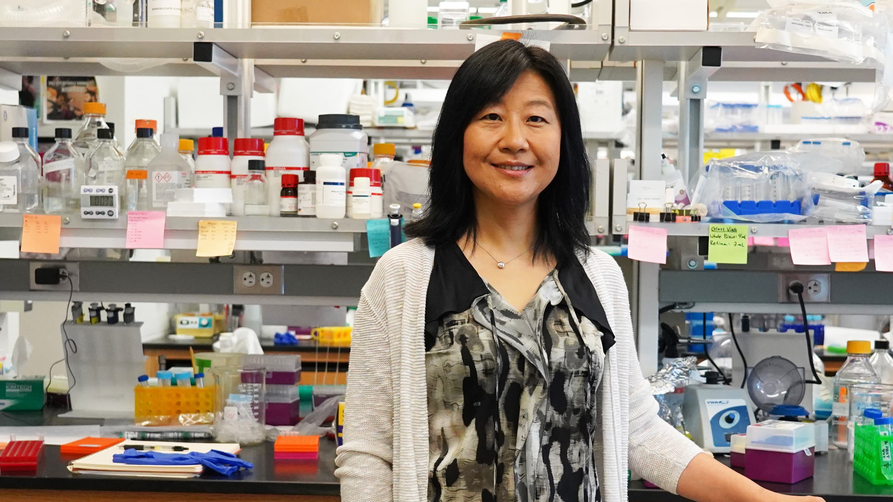 New Research Shows How Blood Gets to Where the Brain Needs It Most